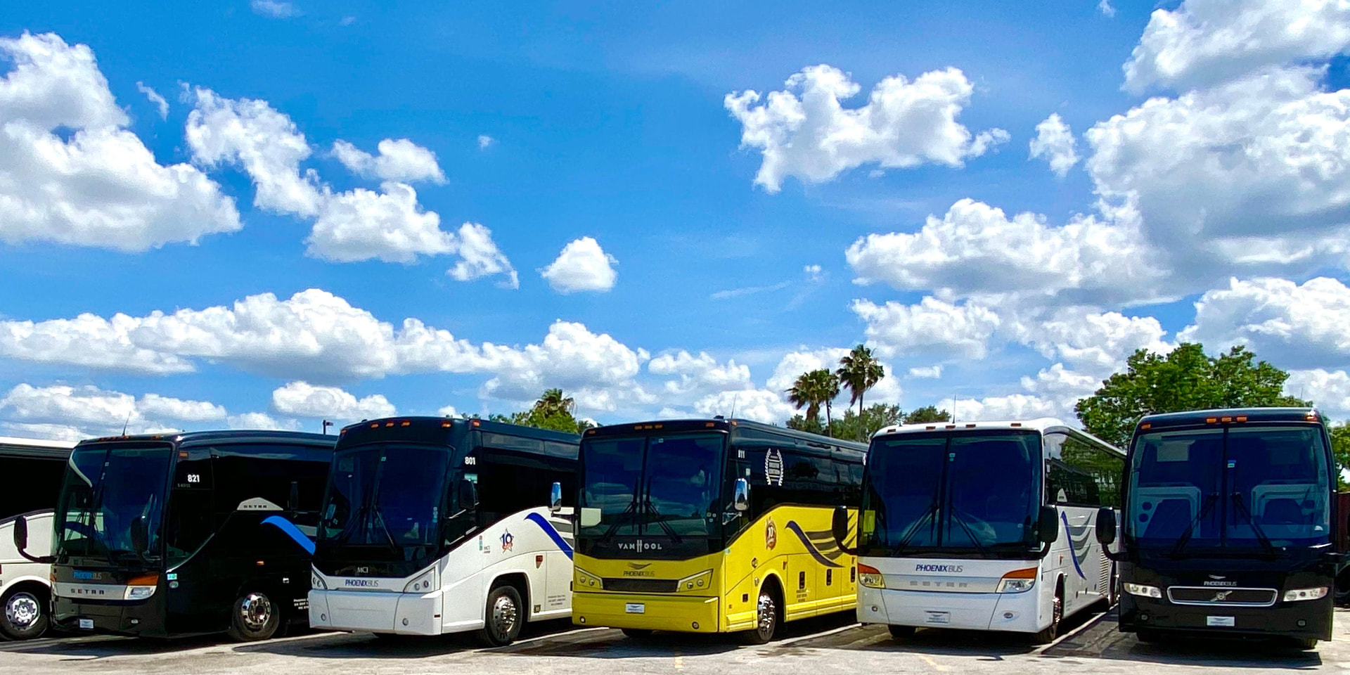 Multi-model Phoenix Bus fleet lineup of motorcoaches parked side by side