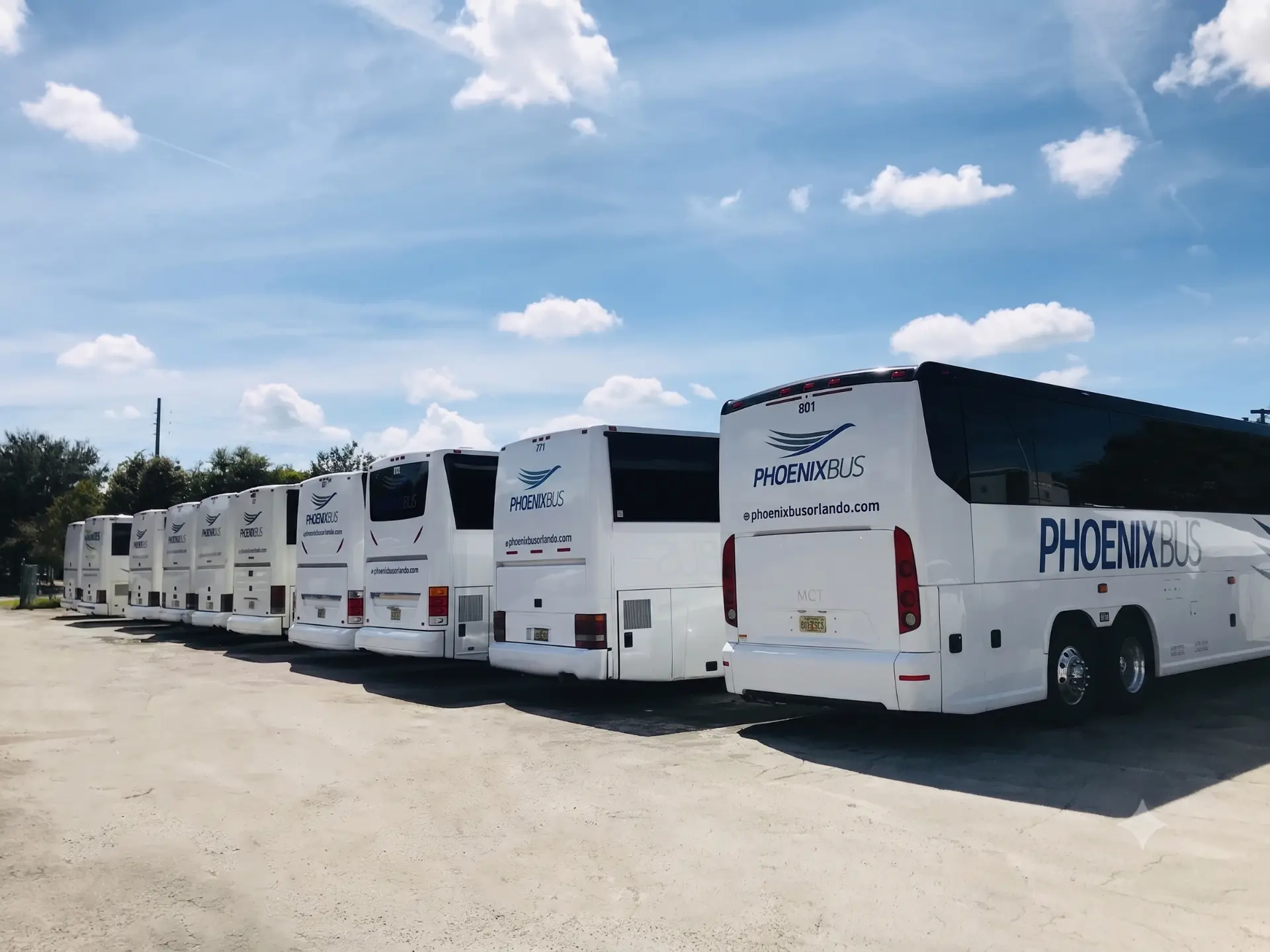 Row of white Phoenix Bus motorcoaches staged in the company yard